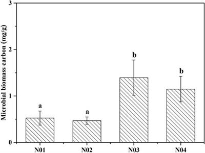 Spatial Variation in Microbial Community in Response to As and Pb Contamination in Paddy Soils Near a Pb-Zn Mining Site